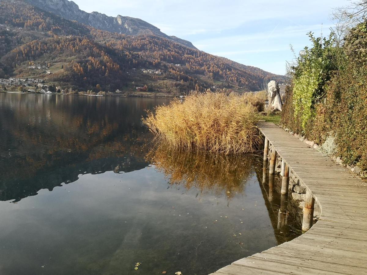 Ferienwohnung Il Riccio Del Castagno Novaledo Exterior foto
